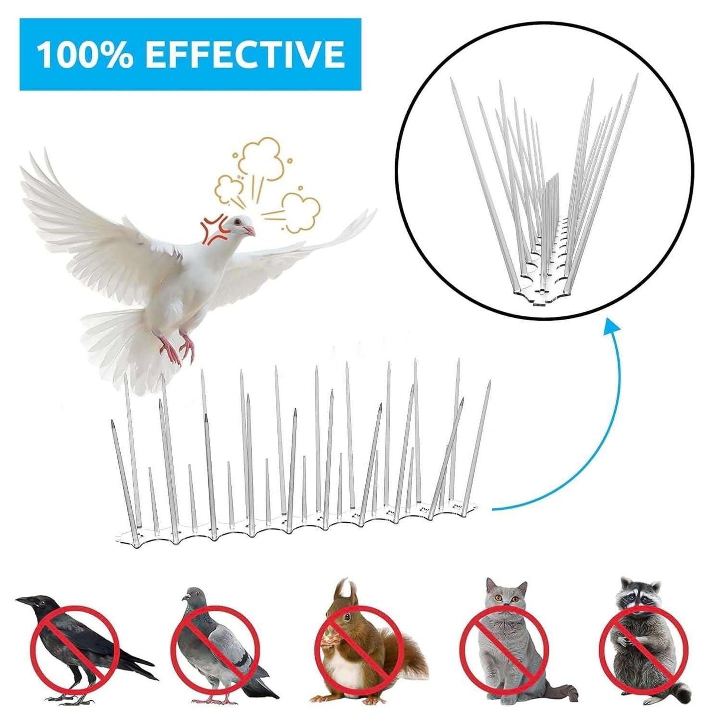 Pigeon Control Spikes (Set of 10)